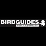 Birdguides