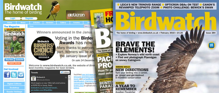 birdwatch-page headers