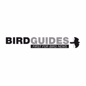 brand birdguides 300x300 1
