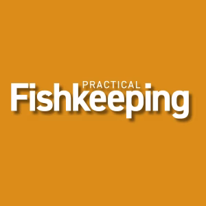 brand practicalfishkeeping