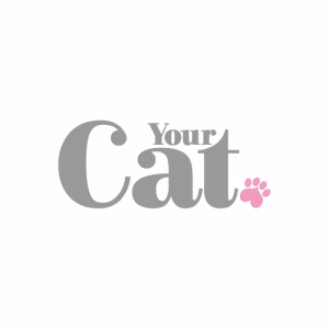 brand yourcat 300x300 1