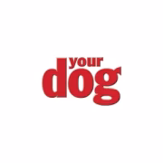 brand yourdog 300x300 1 180 180